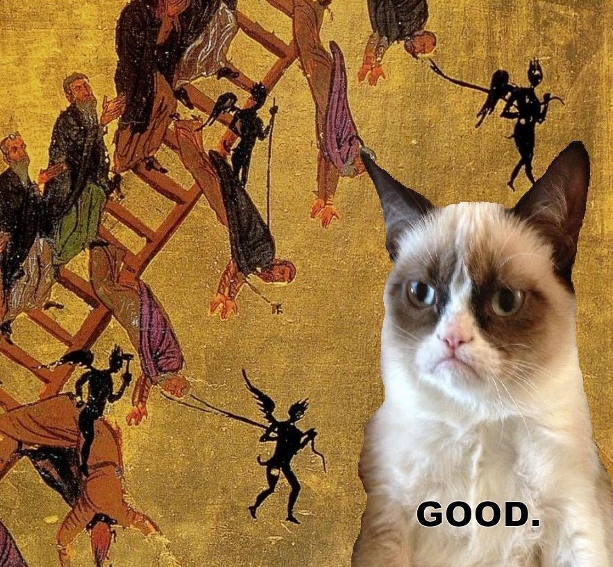 Grumpy kitty applauds the demons.